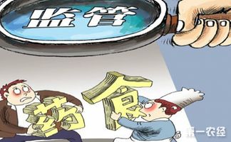 規(guī)范網(wǎng)絡(luò)食品經(jīng)營行為，支持互聯(lián)網(wǎng)食品安全有序發(fā)展